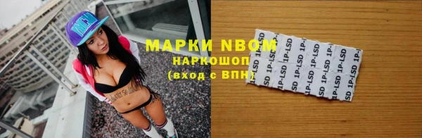 хмурый Няндома
