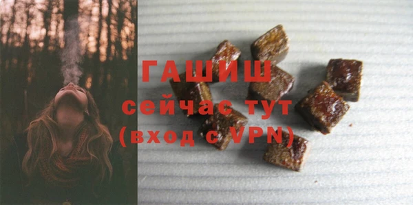 хмурый Няндома