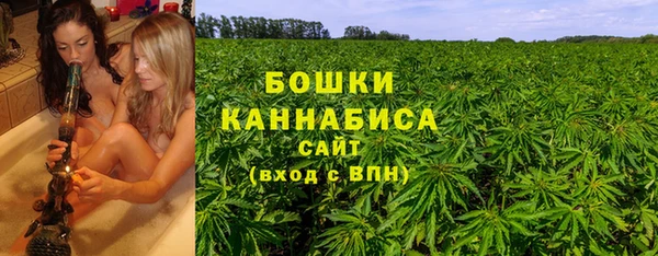 хмурый Няндома