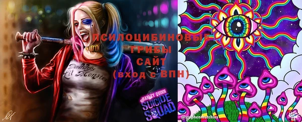 гидропоника Осташков