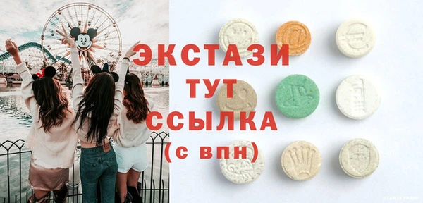 хмурый Няндома