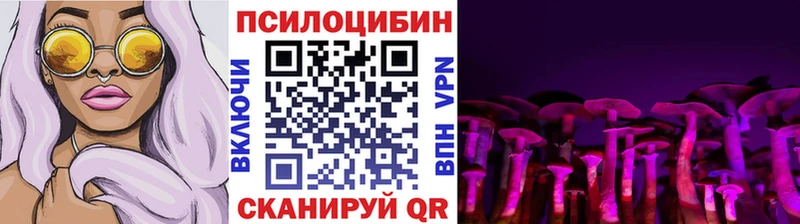 Галлюциногенные грибы Psilocybe mega онион Иннополис